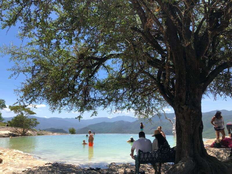 Check out Hierve el Agua, Mitla, the Tule Tree, Rugs, and a Mezcal Distillery Tour - What Makes This Tour Special?