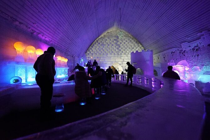 Chena Hot Springs plus Aurora Chase Tour - Who Will Love This Tour?