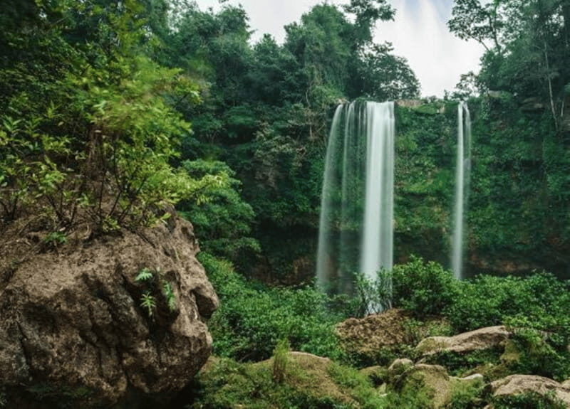 Chiapas: Blue Water - Misol-Ha Palenque Adventure - In-Depth Look at the Tour Experience