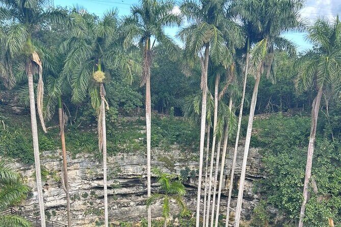 Chichen Itza Wonder by Van - Practical Tips for Travelers