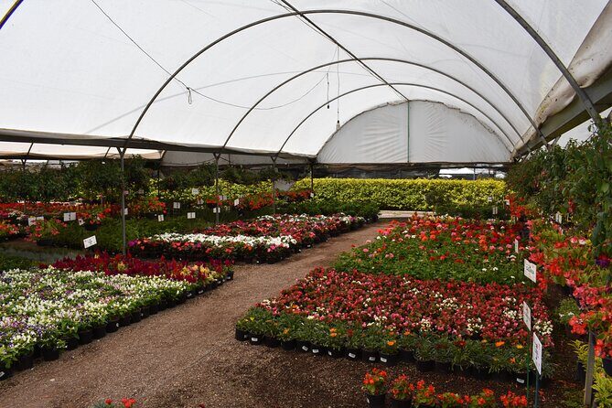 Cholula and Atlixco tour (private tour) - Transport and Timing: Why They Matter