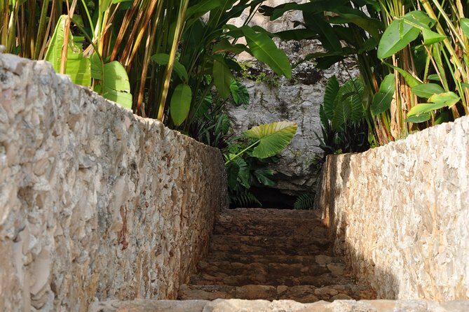 Choose your experience to live in Los 7 Cenotes San Gerónimo - The Value and Practicalities