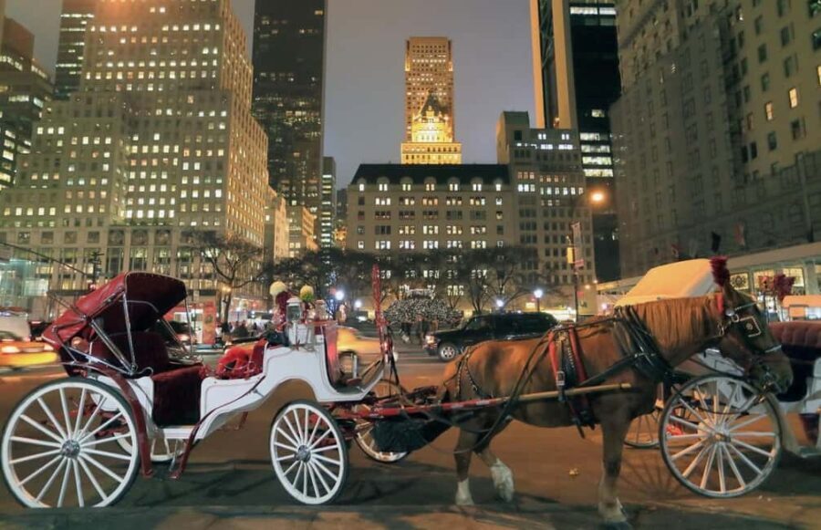 Christmas in New York: Holiday Lights Horse Carriage Ride - What You Get and What You Might Wish for