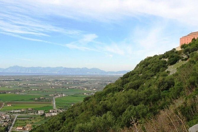 Cilento Wine: Tour & Tasting Experience - The Vineyard and Winery Tour