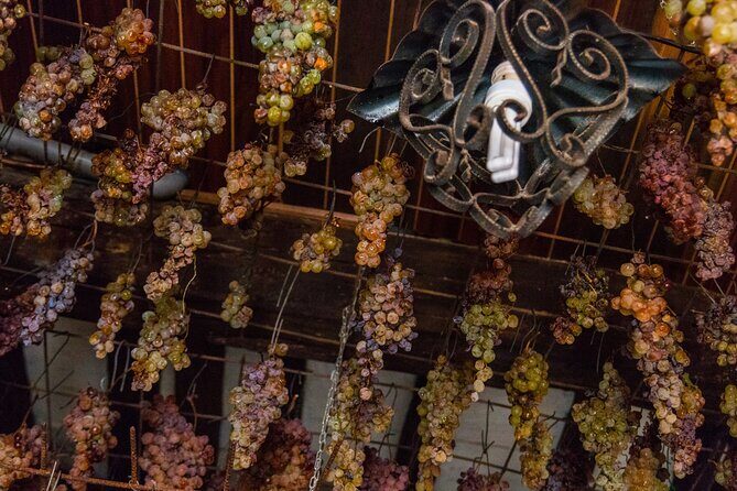 Cinque Terre Private Wine And Views Tour - The Itinerary — What You Can Expect