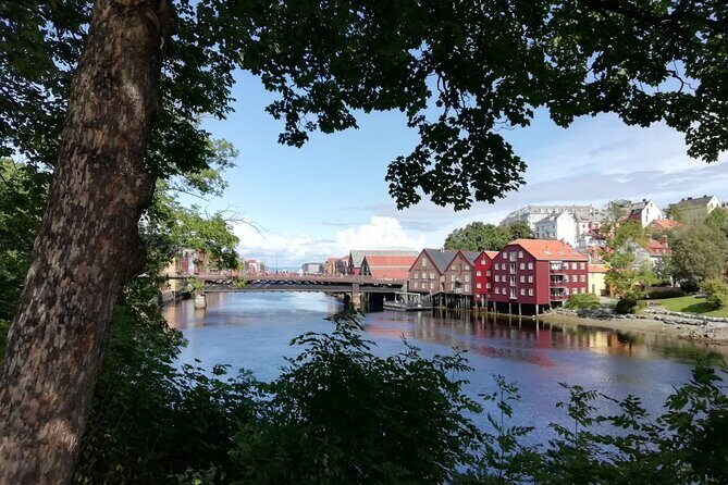 City Bus Tour in Trondheim, Norway - The Experience: Pros and Cons