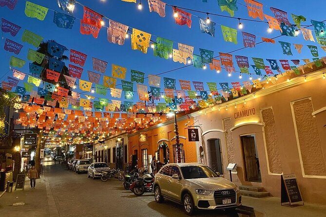 City Tour in San Jose del Cabo & Cabo San Lucas - Who Should Consider This Tour?