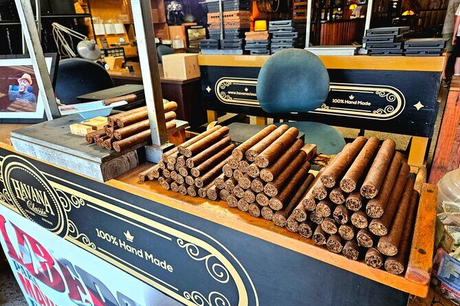 City Vibes & Bay Rides - Comprehensive Breakdown of the Tour Experience