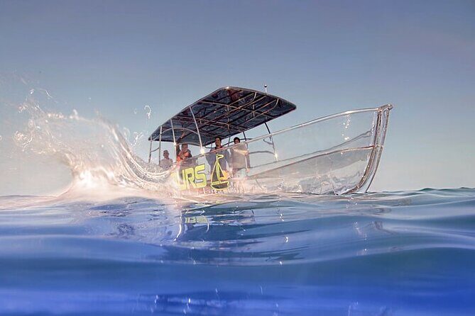 Clear Boat Tour in Cabo San Lucas - Who Will Love This Tour?