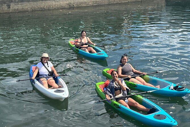 Clear Bottom Kayak Rental for Kings Bay Three Sisters Springs - What to Expect During Your Kayaking Adventure