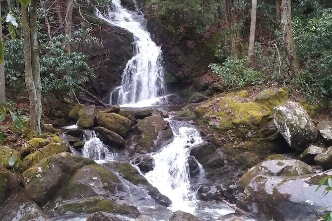 Clear Creek Falls Hike - Who Will Love This Tour?
