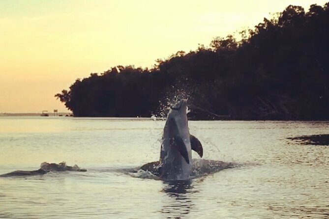 Clear Kayak Sunset Tour - Cocoa Beach - The Experience Breakdown