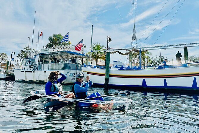 Clear Kayak Tour of Tarpon Springs Sponge Docks & Mangroves - Why This Tour Works Well
