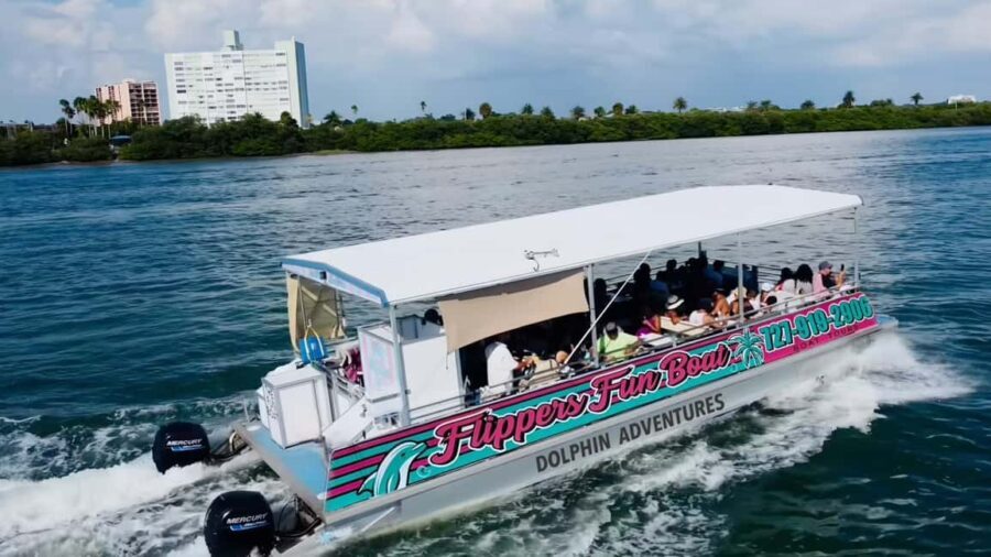 Clearwater Beach: Dolphin Excursion - Flippers Fun Boat - What to Expect on the Tour