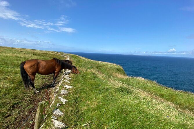 Cliffs of Moher Hiking Tour from Galway - Small Group - The Experience: What Makes It Stand Out?