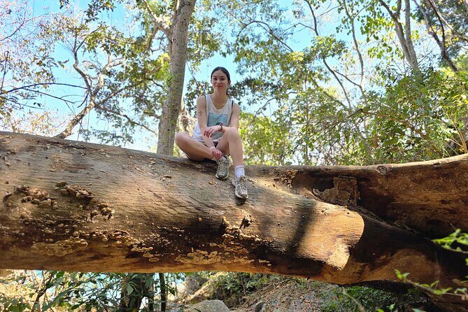 Coastal and Jungle Hiking Tour along 6 Beaches of Puerto Vallarta - A Detailed Look at the Adventure