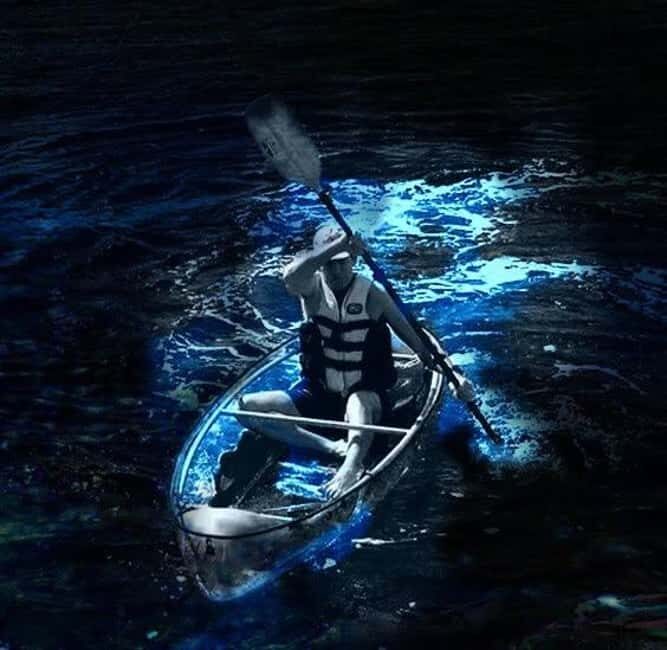 Cocoa Beach: Clear Kayak Bioluminescence Tour - Who Will Love This Tour?