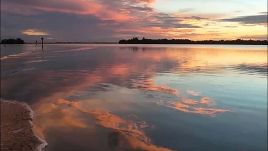 Cocoa Beach: Dolphin & Manatee Pontoon Cruise - Who Will Love This Tour?