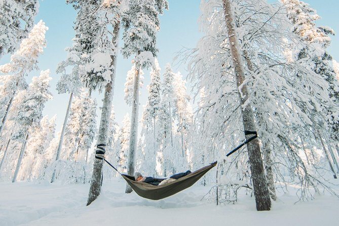 Cocooning in the HaliPuu forest: The ultimate Arctic hammock relaxation - The Itinerary Breakdown