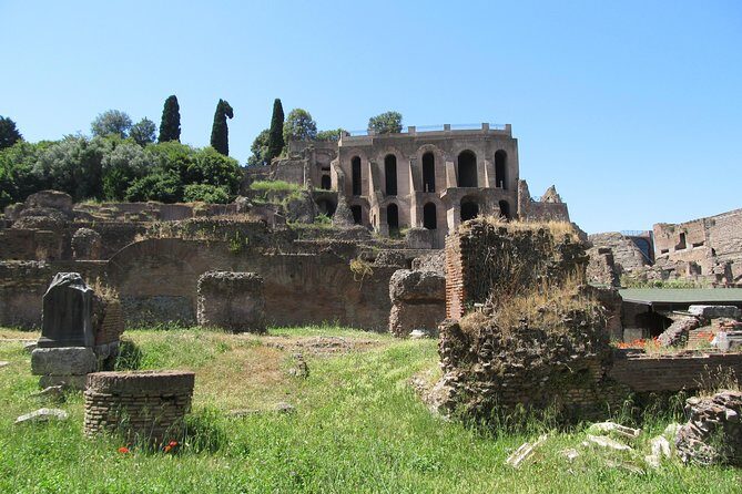 Colosseum Group Tour with Roman Forum and Palatine - Who Will Love This Tour?