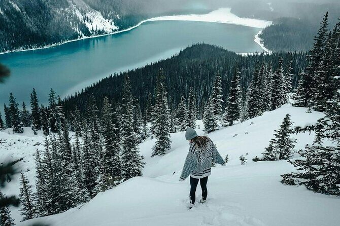 Columbia Icefield Parkway Peyto lake Bow lake Day Trip - What Travelers Say