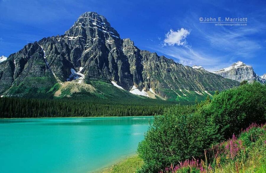 Columbia icefield, Skywalk, Waterfowl, Bow & Peyto Lake Tour - What Makes This Tour Stand Out?