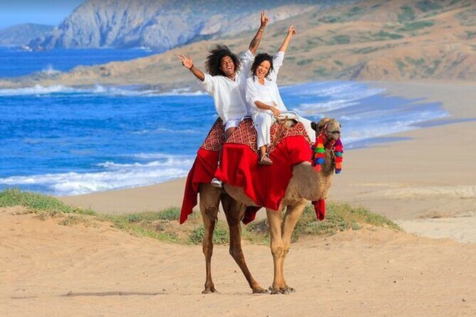 Combination Tour in Cabo San Lucas Mexico - How the Tours Structure Benefits You