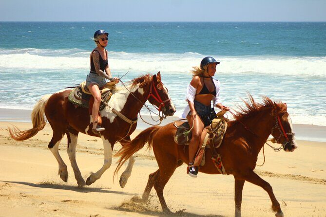 Combo Adventure with Horse, ATV or RZR and Tequila Tasting - The Sum Up: Is This Tour Right for You?