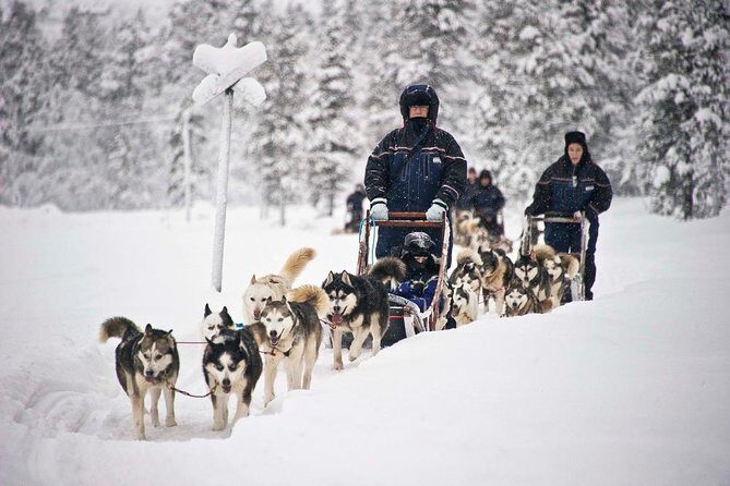 COMBO Private tour HUSKY and REINDEER Park by VIP car with guide - Authentic Experiences Versus Touristy Feel