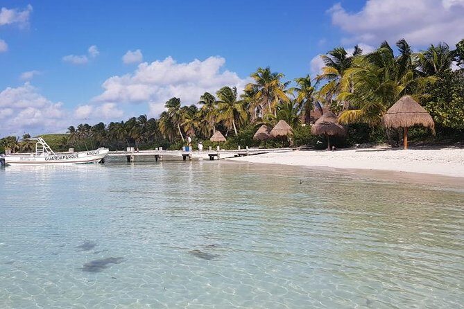 Contoy Island - Practical Considerations: Transportation, Group Size, and Cost