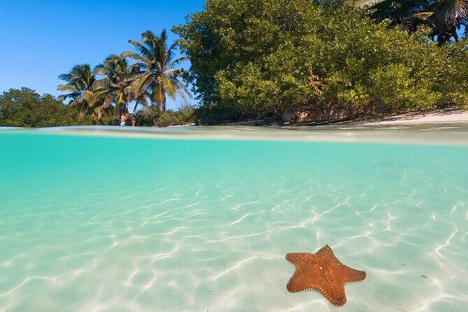 Contoy Island Tour from Cancun and Isla Mujeres with Snorkeling - What’s Included & What’s Not