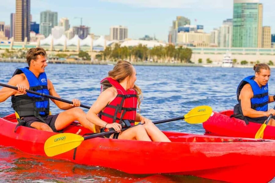Coronado Guided Kayak Tour 90-Min - Real Experiences from Paddlers