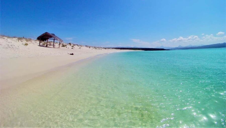 Coronado Island and Snorkel Tour - An In-Depth Look at the Experience