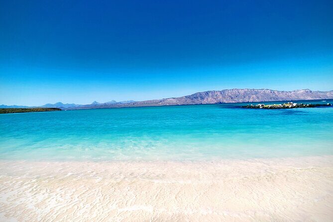 Coronado Island Visit and Sea Lions Swimming - Detailed Breakdown of the Itinerary