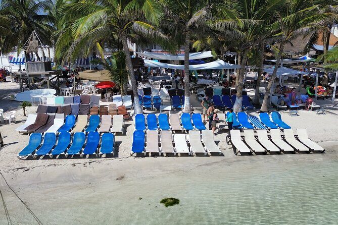 Costa Maya Beach Breack Food & Drinks - Authentic Experiences and Honest Feedback from Visitors