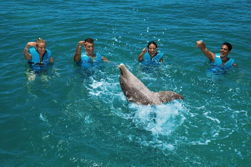 Costa Mujeres: Swim with Dolphins - What Makes Each Program Stand Out?
