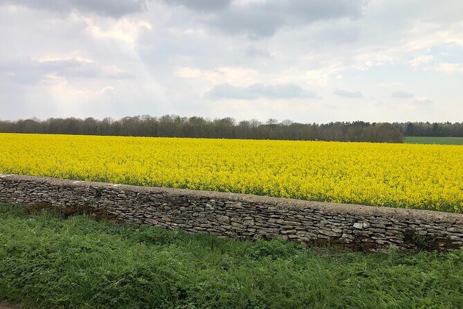 Cotswolds Shore Excursion from Southampton - What Makes This Cotswolds Tour Stand Out