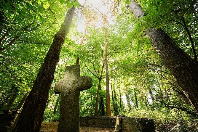 Courtown Woodland Guided Tour - The Value of this Experience
