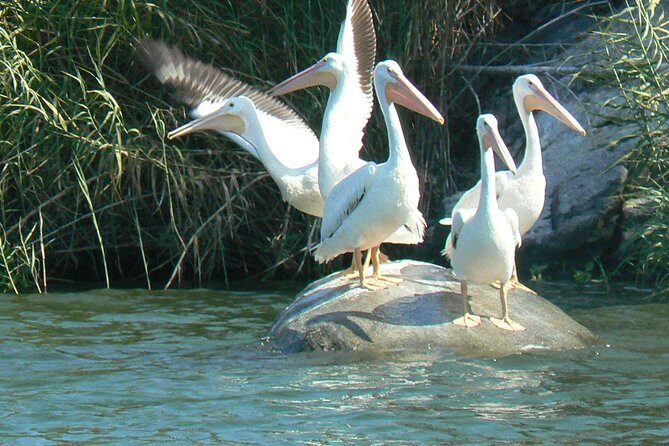Coyuca Lagoon From Acapulco - Deep Dive into the Experience