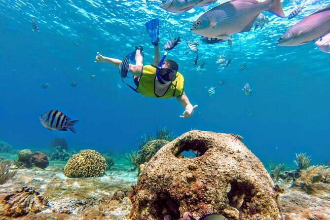 Cozumel by transparent boat and snorkeling in the sky with lunch. - What’s Included and What’s Not