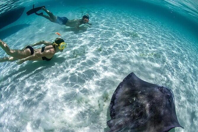 Cozumel Cielo Snorkel Adventure from Cancun and Rivera Maya - Practical Tips for Future Participants