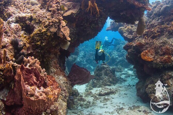 Cozumel: Discover Scuba Diving - The Value of Included Features