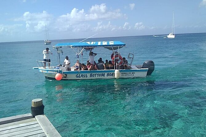Cozumel El Cielo Tour by Boat from Playa del Carmen & Transfer - Transportation, Group Size, and Logistics