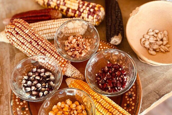 Cozumel Mayan Cultural Show: Dances, tastings & explore - A Detailed Look at the Tour Experience