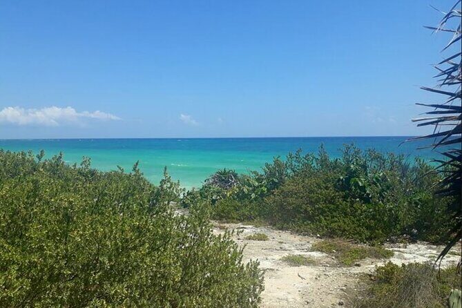 Cozumel: Private Jeep Tour, Mayan Ruins, Snorkeling & Lunch - Analyzing the Value and Experience