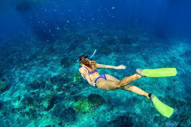 Cozumel Sea Safari Snorkeling Tour - The Experience and What You Can Expect