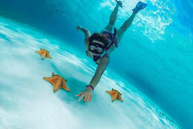 Cozumel Snorkel at El Cielo & 2 Reefs! Transportation from Tulum - Authenticity and Real Experiences