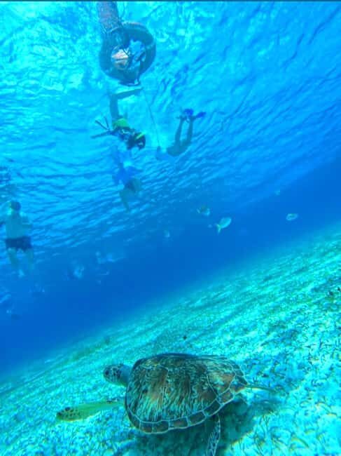 Cozumel: snorkeling on reefs + visit to "El Cielo" - The Real Value – What to Expect