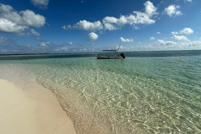 Cozumel Unique Buggy Adventure Five Hour Tour - Why This Tour Stands Out