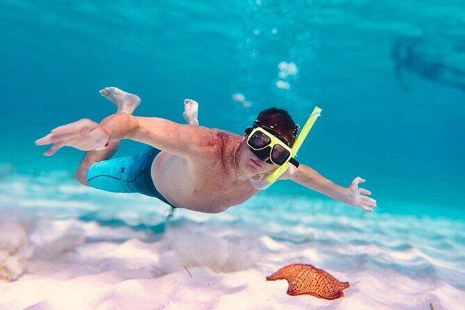 Cozumel's Best: Snorkel Adventure in El Cielo and El Cielito - What Makes This Tour Stand Out?